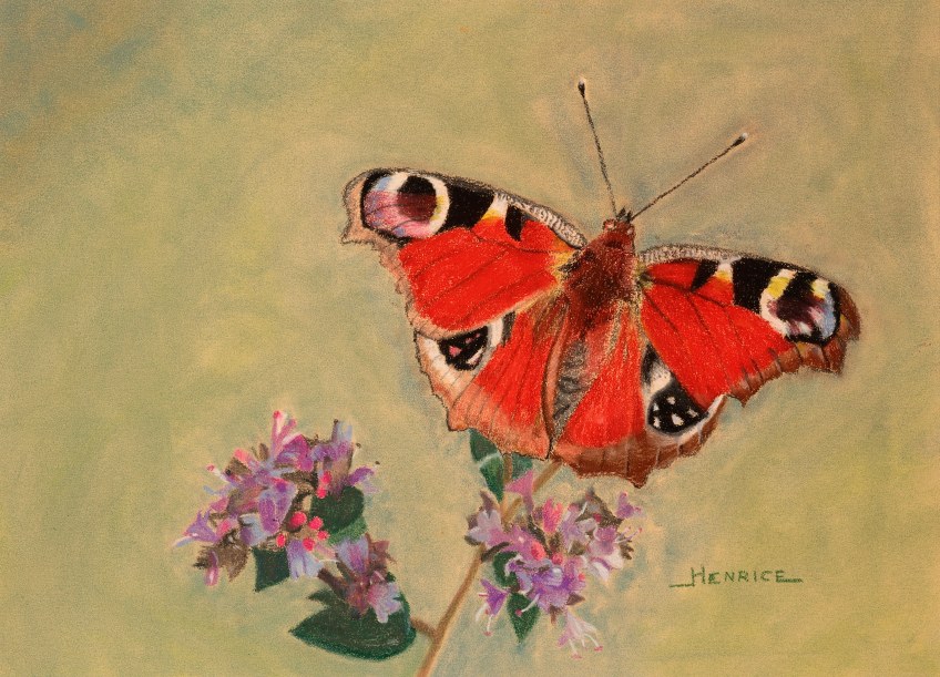 henrice.kupper@kpnplanet.nl