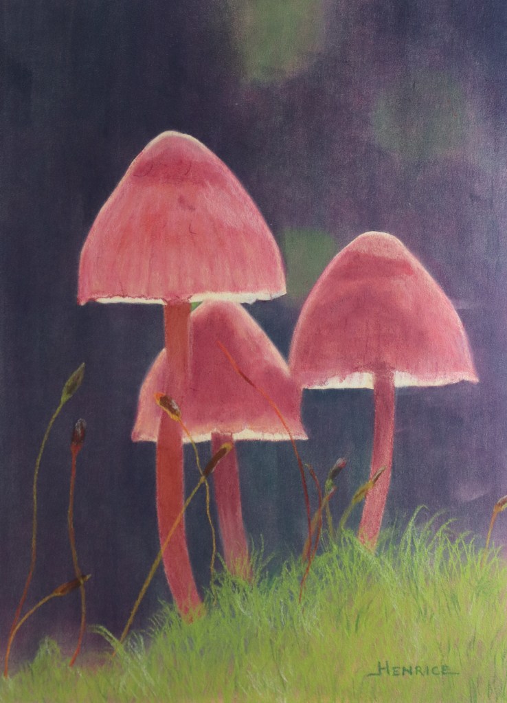 henrice.kupper@kpnplanet.nl