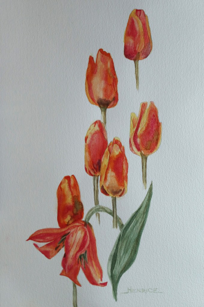 henrice.kupper@kpnplanet.nl